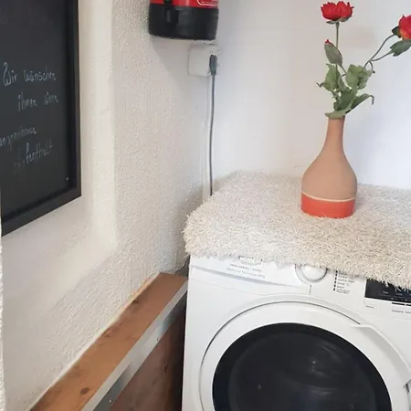Apartament Am Park With Garden *