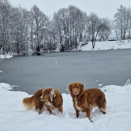 Апартаменты Am Park