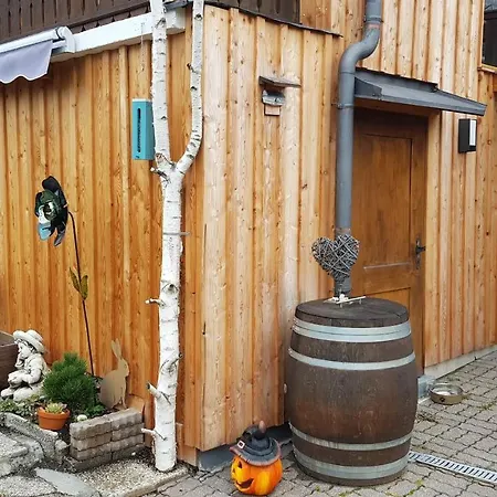 Apartman Am Park With Hottub Piesendorf