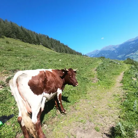Am Park With Hottub * Piesendorf
